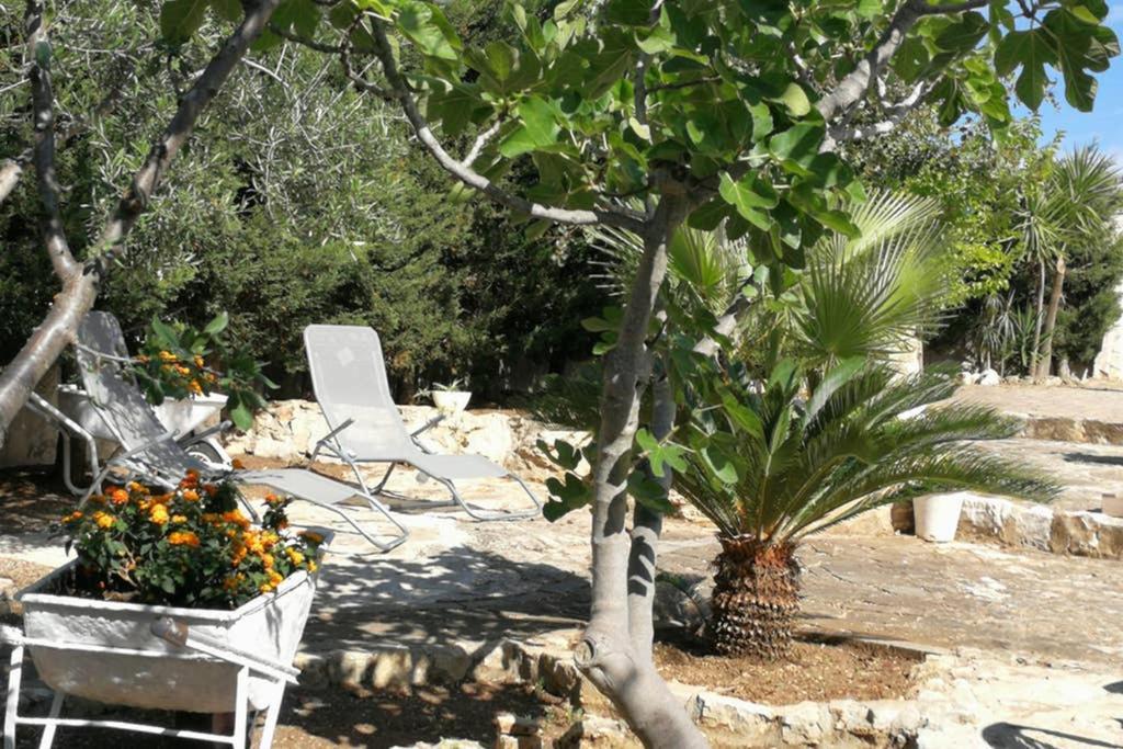 Villa Arenella Vieste Exteriör bild