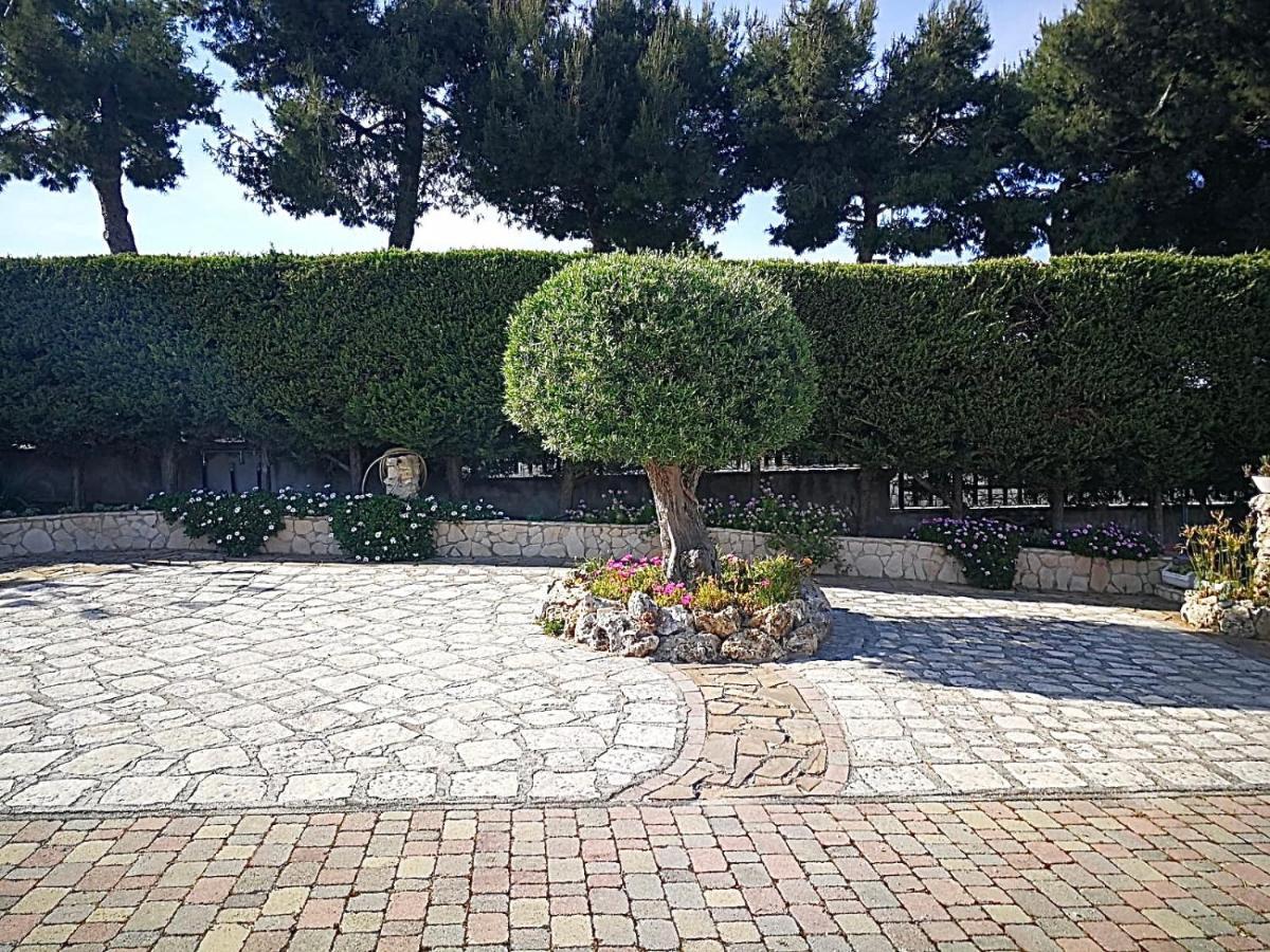 Villa Arenella Vieste Exteriör bild