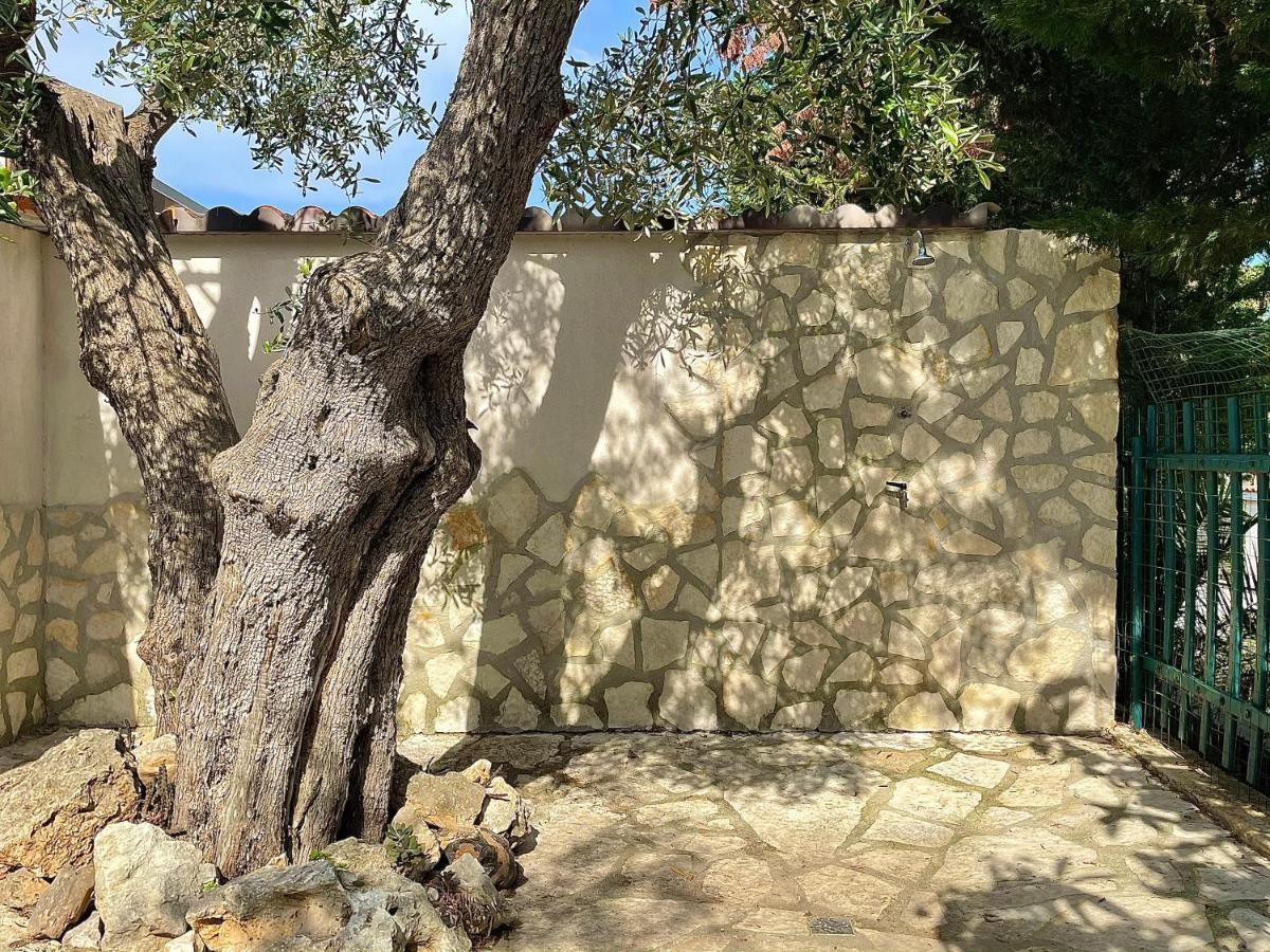 Villa Arenella Vieste Exteriör bild